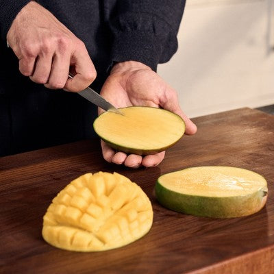 ZWILLING Spectrum 4-inch Paring Knife